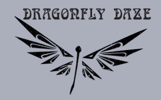 Dragonfly Daze Logo Design